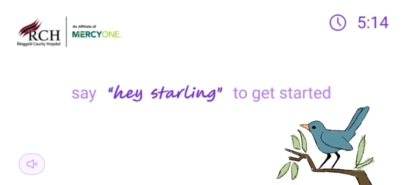 Starling mascot exploration 126