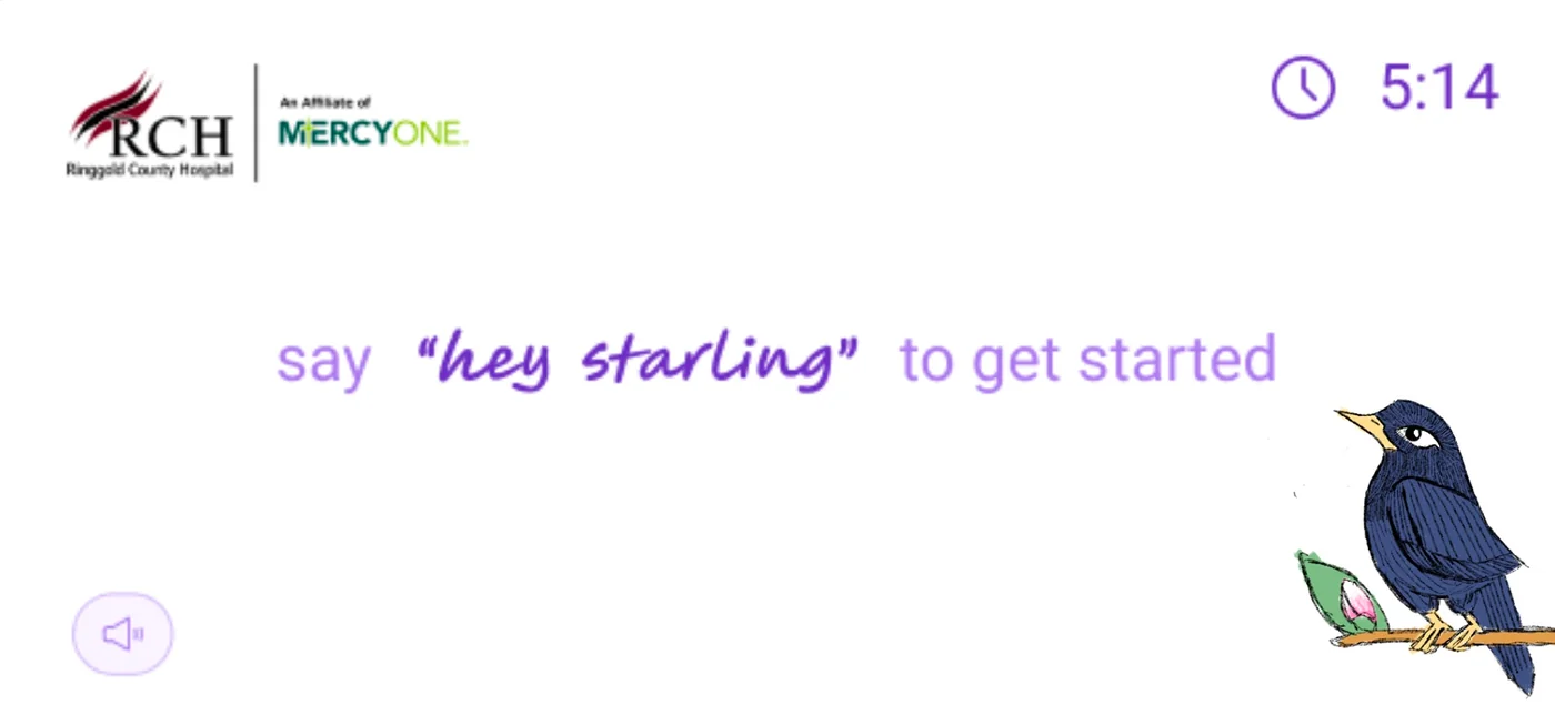 Starling mascot exploration 128