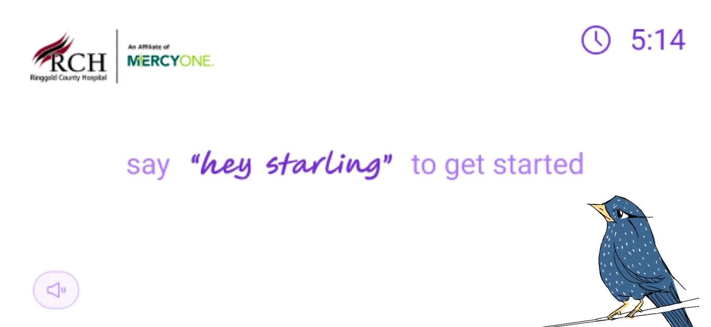 Starling mascot exploration 129