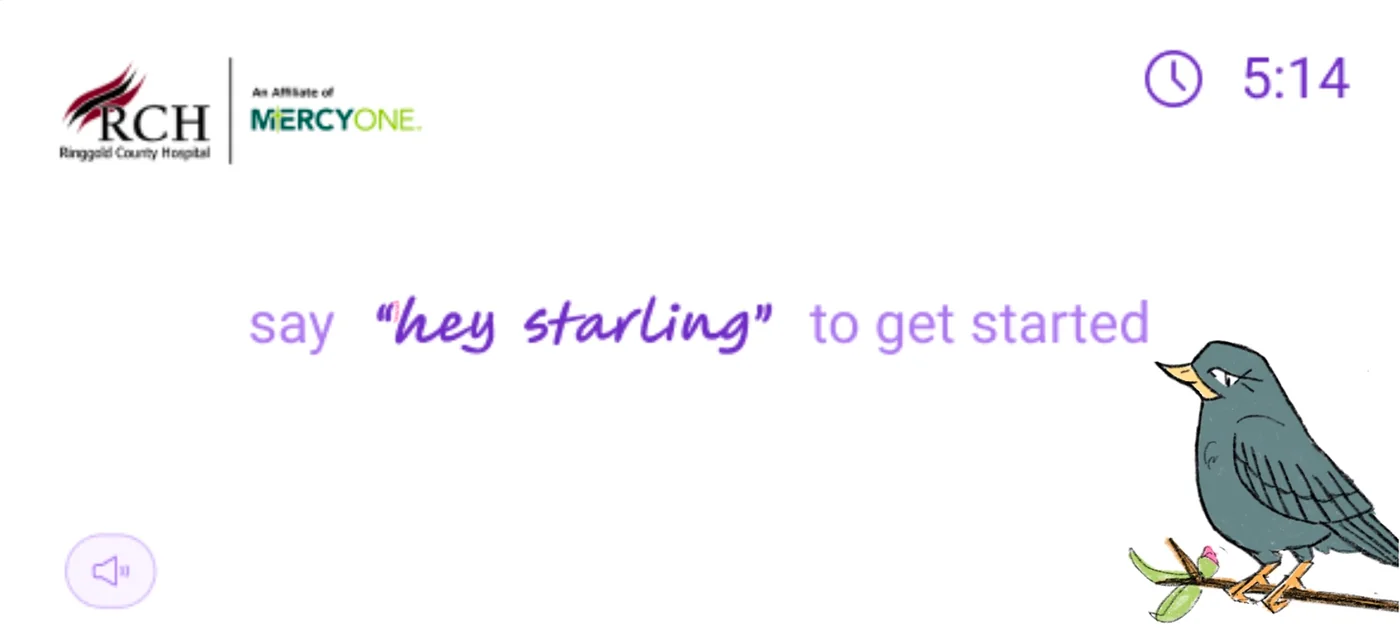 Starling mascot exploration 130