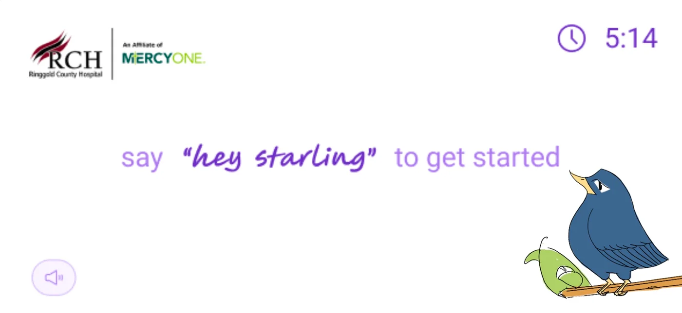 Starling mascot exploration 131