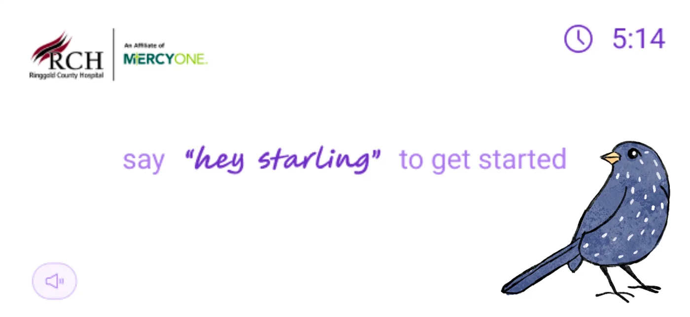 Starling mascot exploration 132