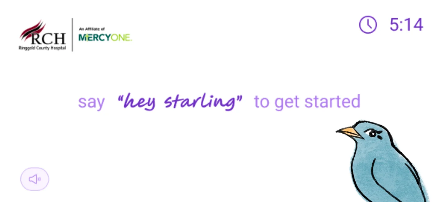 Starling mascot exploration 133