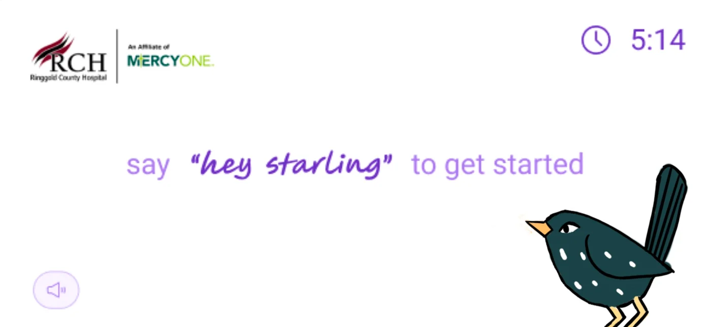 Starling mascot exploration 134