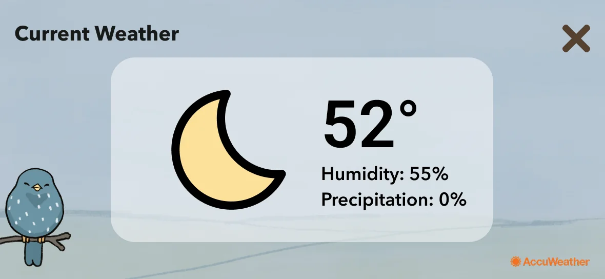 Starling screen: weather